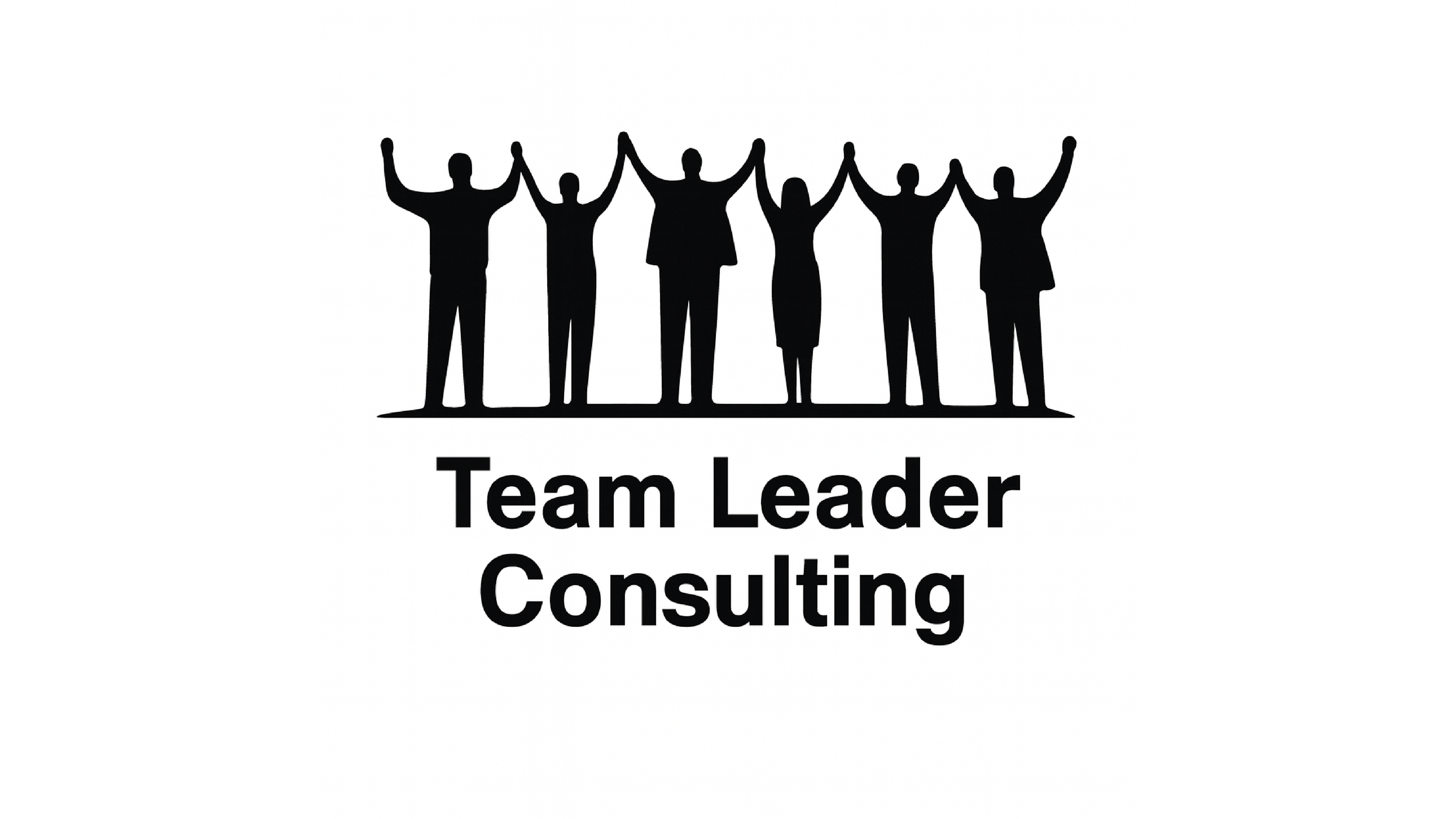 Team Leader Consulting